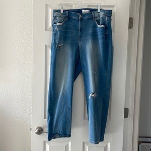 LANE BRYANT straight leg jeans